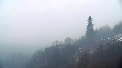 4k Mountain Mist Rising Morningfog Pine Stock Footage Video (100% ...