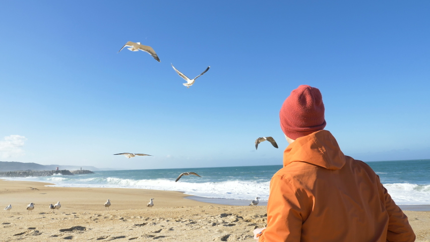 man in bright clothing sits on beach sand and feeds white seagulls against waving blue ocean backside view slow motion