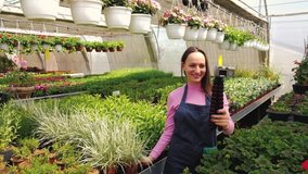 People and botany concept. Popular female blogger experienced gardener is recording video about gardening for her vlog standing in greenhouse and holding pot flowers.