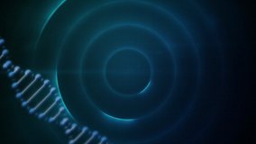 Animation of a 3d double helix DNA strand rotating in seamless loop over multiple blue circles background. Global biology research science concept digitally generated image. - Powered by Shutterstock - Get 15% off with code: PIKWIZARD15