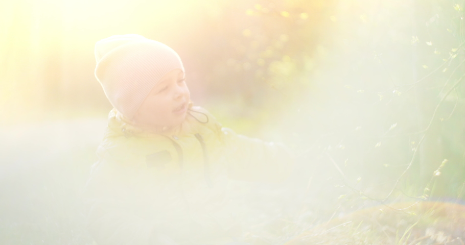 Slow motion: Young Boy in Yellow Jacket Explore the World Around Him While Sitting in the Forest in the Sun. Enjoy and laugh in the woodland. Free cheerful childhood