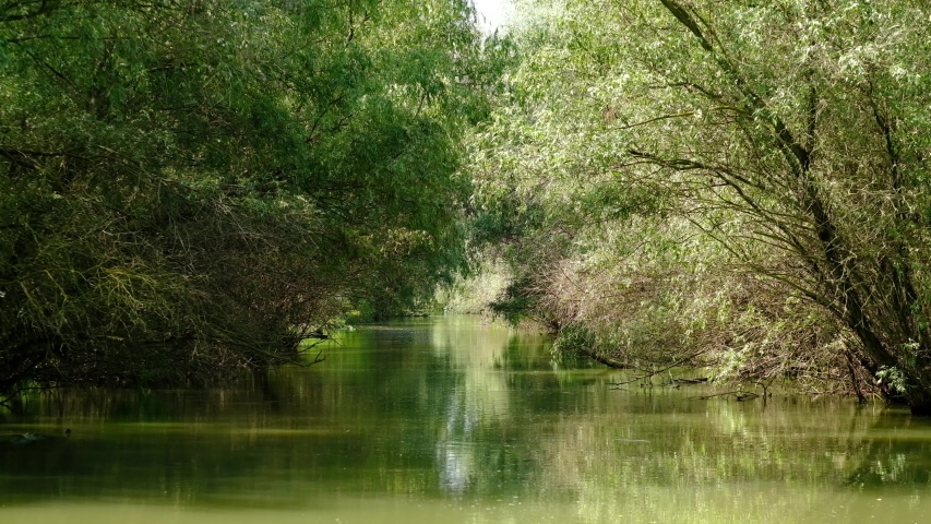 the Danube Delta visited by boat