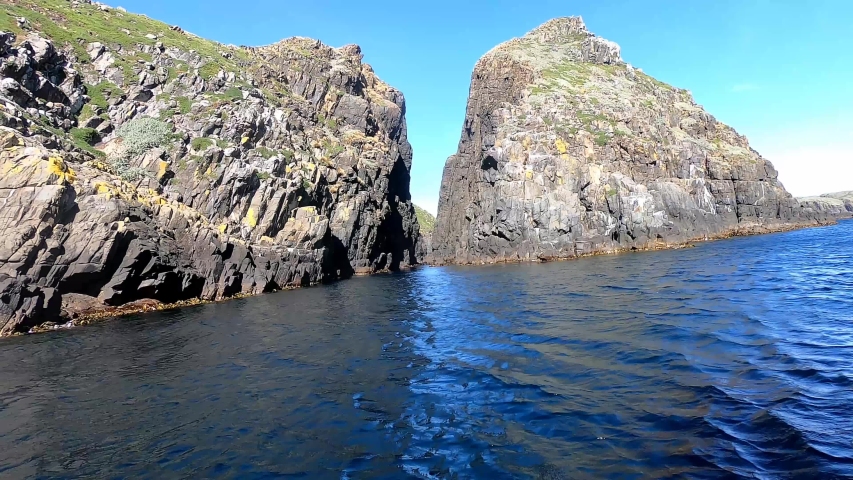 Fur Seal Colony from Boat at Bruny Island Tasmania