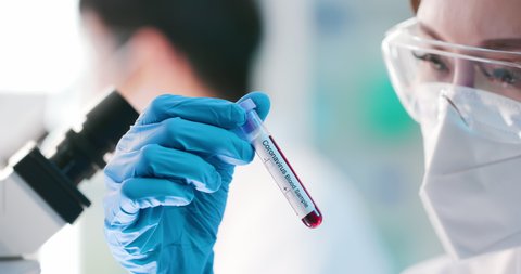 Hands Lab Technician Tube Blood Sample Stock Photo (Edit Now) 441264445