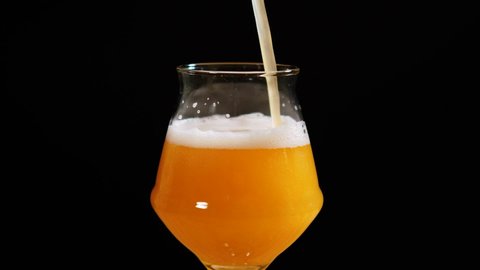 Light beer is pouring into glass. IPA. Cold Light Beer in a glass with water drops. Craft Beer forming foam close up. Freshness and froth. Isolated black background. Microbrewery craft beer.
