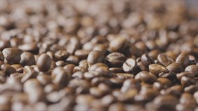 Closeup of splashing falling fragrant roasted coffee beans. Slow motion, Full HD video, 240fps, 1080p.