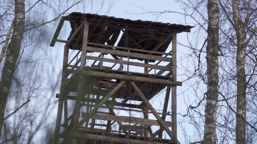 The top of the tall watch tower in the forest being surrounded with tall trees