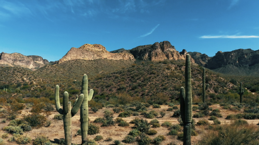 Aerial 4k Drone View of Sonoran Desert with Saguaro Cacti and Mountains in Arizona on a bright sunny day showing Usery Mountain Regional Park and Lost Dutchman State Park Royalty-Free Stock Footage #1051780681