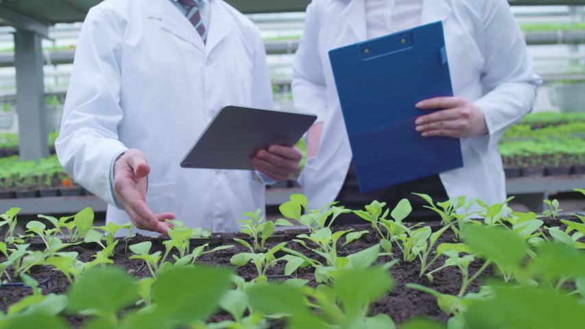 Botanists examining plants in hothouse, making notes, typing on tablet, work Royalty-Free Stock Footage #1051798924