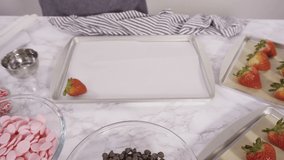 Time lapse. Step by step. Arranging organic strawberries on a baking sheet to make chocolate dipped strawberries.