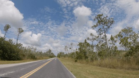 Car driving on the road in Everglades National Park in Florida, USA. Camera mounted on windshield, point of view of driver on empty road 