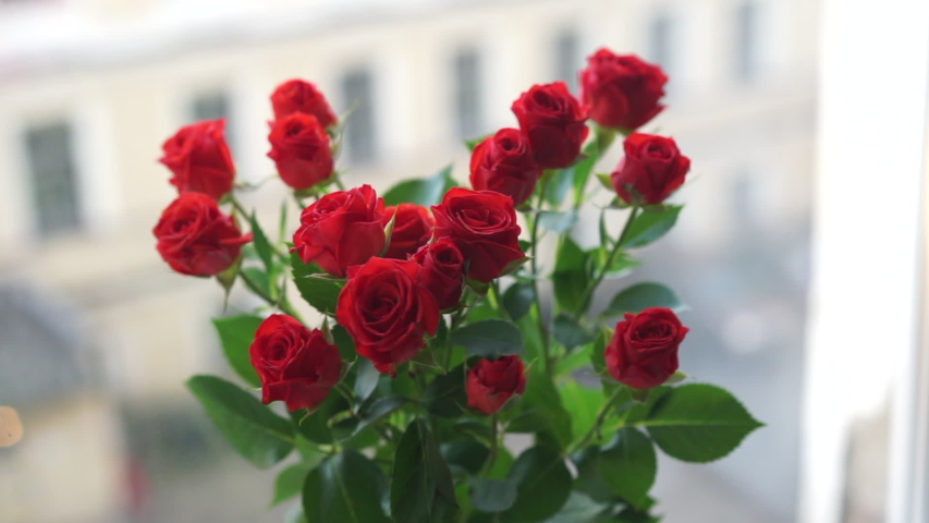 close up bouquet of red fresh beautiful spray roses flowers in a vase on a windowsill