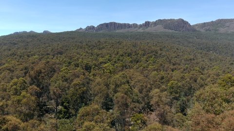 Ben Lomond National Park in Tasmania. Aerial view of Australian Forest, home of Koalas and Kangaroos