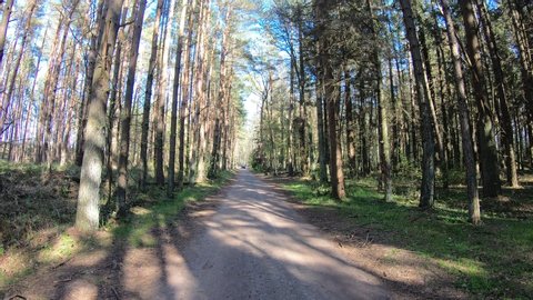 Hyperlapse, walk along the forest road