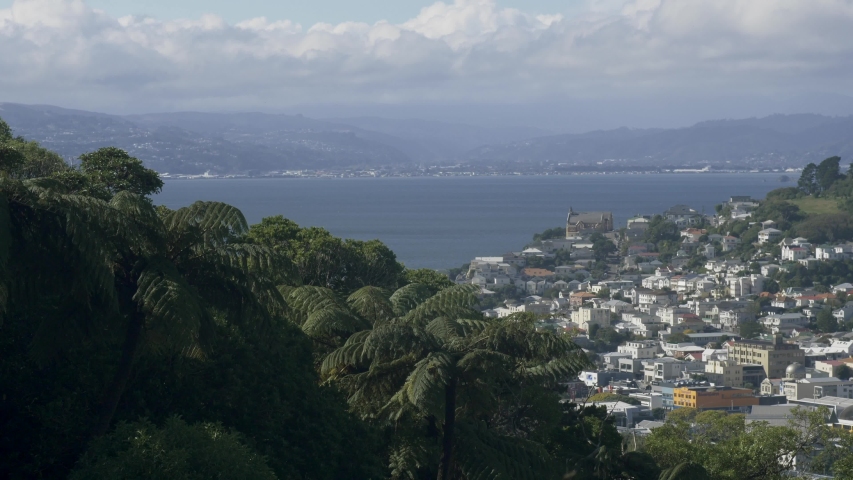 Wellington Mt-Victoria new zealand Nature City