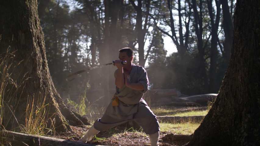 Man Practicing Kung Fu Shaolin Royalty-Free Stock Footage #1051932715