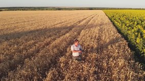 Aerial shot of a farmer standing on a wheat field and working on a laptop