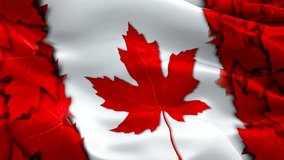 Canadian flag - Ottawa 1080p Full HD 1920X1080 footage video waving in wind. National 3d Canadian flag waving. Sign of Canada seamless loop animation. Canadian flag HD resolution Background 1080p
