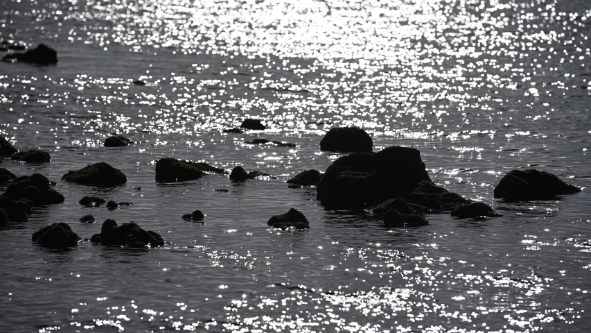 Sunlight Glistens Over Rocks in Bay on quiet morning