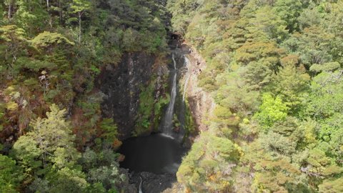 Aerial view of Piha waterfall