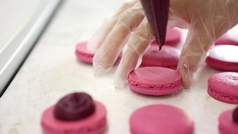 Process of making macaron macaroon, french dessert, squeezing the dough form cooking bag
