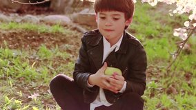 Little boy sits under a flowering cherry tree and plays with a green apple. Slow motion video