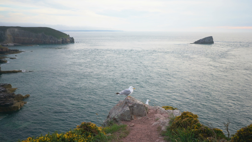 General view of the Cap Frehel, Francie, Europe.