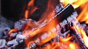 Burning firewood, coals, fire close-up