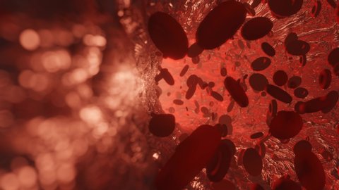 Red blood cells. Erythrocyte 3D rendering illustration. 