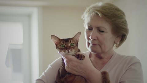 Portrait Of Older Woman Hugging And Kissing Her Abyssinian Cat Indoor