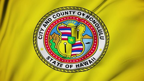 Honolulu city of Hawaii flag is waving 3D animation. Honolulu city of Hawaii state flag waving in the wind. Honolulu flag seamless loop animation. 4K