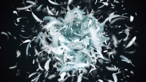 Explosion Of Feathers in 4K