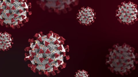 Coronavirus Covid19 Medical Animation Virus Model Stock Footage Video ...