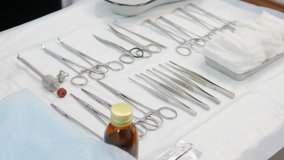 Surgical nurse prepares surgery tools in vet clinic