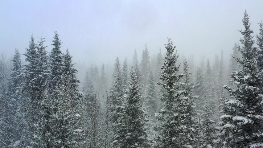 Stationary Drone Footage in a Blizzard with Heavy Snow inside Gates of the Arctic National Park