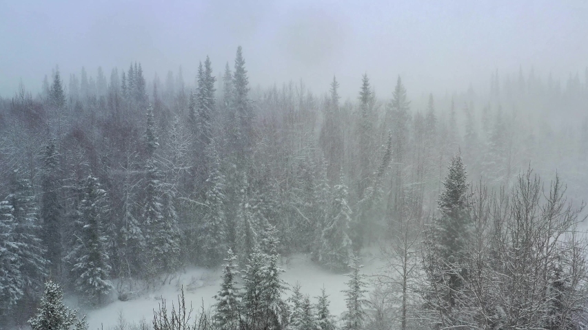 Slowly Backing Up Drone Footage in a Blizzard with Heavy Snow inside Gates of the Arctic National Park