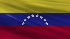 Flag of Venezuela. Seamless 4k full realistic flag waving against background.