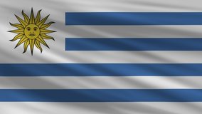 Flag of Uruguay. Seamless 4k full realistic flag waving against background.