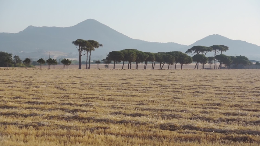 Stunning Nature Scenery Of Wide Field And Lush Trees In Italy With Majestic Mountain Range In The Background - Panning Shot