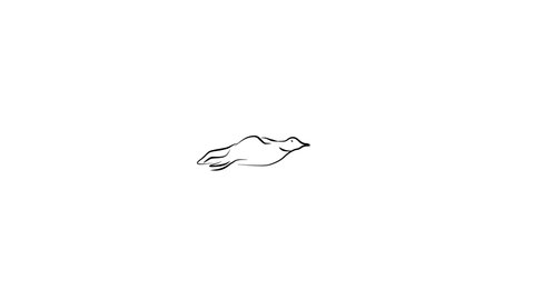 Cute hand drawn animation with flying bird. Isolated cartoon character in outline style. Doodle nature concept. Monochrome clip-art. Imitation of ink brush art. Footage with alpha channel