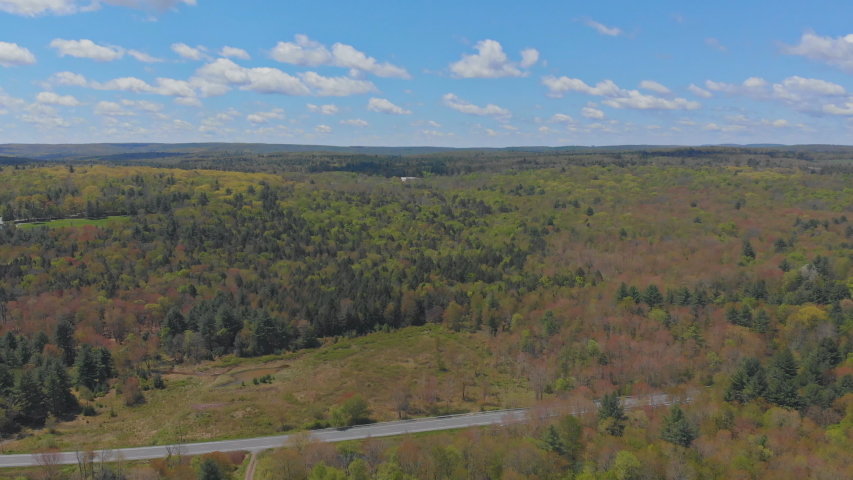 Mountain range landscape foliage with forest Pocono Pennsylvania USA