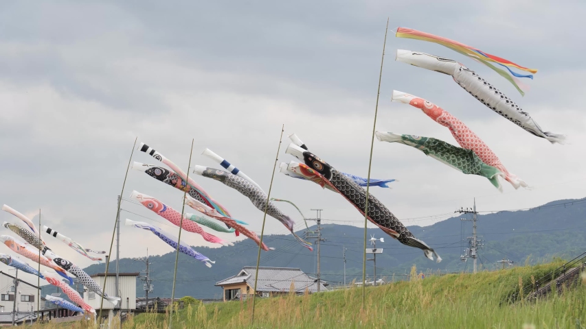 Many carp streamers being raised on the riverside in a rural town.