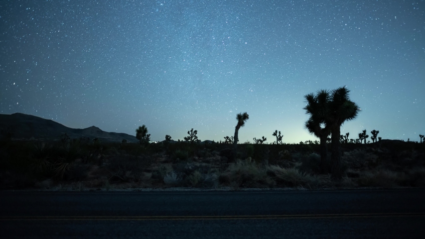 Light painting in Joshua Tree National Park with starry night sky above