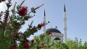 New beautiful white mosque in Turkey with red flowers on a sunny day, blue sky background. 4k stock video.