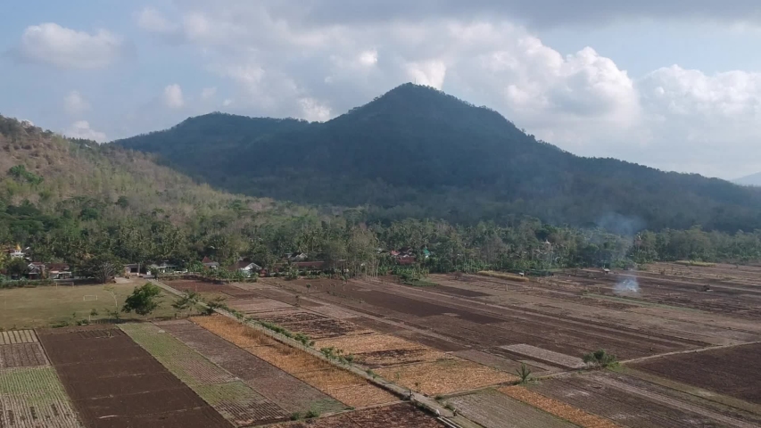 dry farm after harvest with mountain view aerial