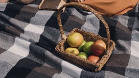 Wicker basket on brown checkered tablecloth with apples on grass, vegan picnic with healthy food in park outside at summer day - Powered by Shutterstock - Get 15% off with code: PIKWIZARD15