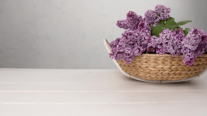 Woman putting branch of beautifu lilac on table