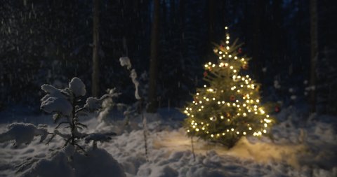 Christmas background with out of focus tree decorated with lights in forest