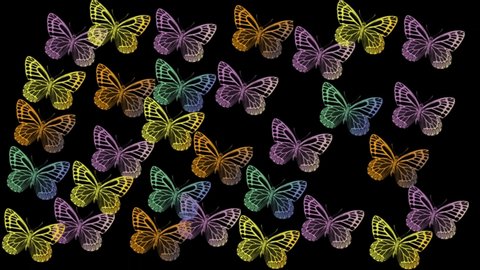 Abstract Colorful Butterflies Flying On Black Stock Footage Video 100