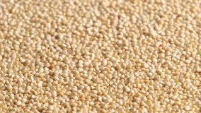 White raw quinoa rotating, South American grain. Healthy and gluten free food concept background.